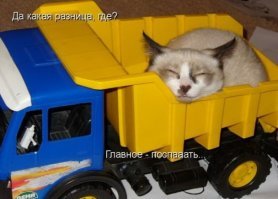 Подражая котоматрице