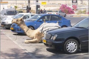 Именно там, где ты подумал