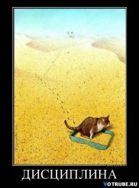 Подражая котоматрице