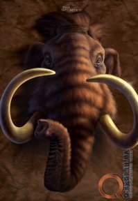 Что со мной не так?