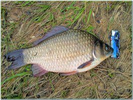 а вот-телефон самсунг jt i8000 :