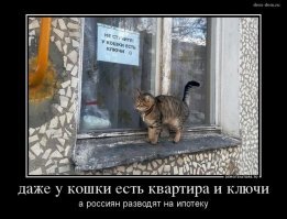 Свежая подборка демотиваторов, которые поднимут вам настроение