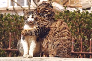 Позитивные фото