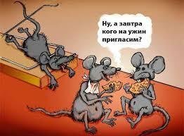 Как выиграть уникальную возможность заплатить банку?