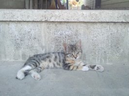 Позитивные фото