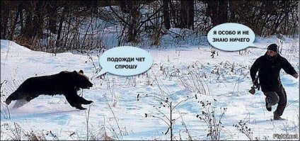 Медведь погнался за байдарочником