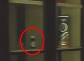 С этой же логикой, можно заявить, что в шкафу бояра, и начать ещё и её рекламировать...если мозгов совсем нет.