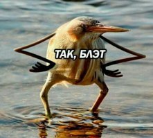 Зарубежный ЖЭК-арт, Часть 4