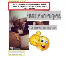 Позитивные фото