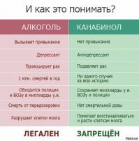 В Грузии легализовали марихуану