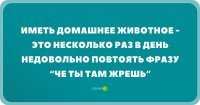Это картинка чела, никогда не имевшего кошек!



Реальная кошка всегда бесит одним: "Чего ты не жрёшь, всё же свежее, вкусное!!". Даю шикарный пакетик вискаса - там желе, говядина, все дела. Подходит, нюхает, трясёт лапой и уходит. Будто я наср**ал ей!! Ну как так-то??
Или ветчина. Вкусная, я её сам редко ем!! Стоят, просят еду. Вижу, что миски - пустые и коты явно голодные. Даю... не, ОТРЫВАЮ ОТ СЕРДЦА кусочек ветчины, кладу на пол. Нюхают, не едят - "дай чёго-нть ещё!". Офигеваю, посылаю шерстяных пижонов есть мышей, ветчину на выброс!
А вы говорите "чё там ешь".... :)