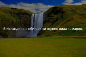 кажется я нашел подходящее для жизни место!