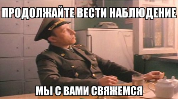 Десятки кенгуру оккупировали пригород столицы Австралии