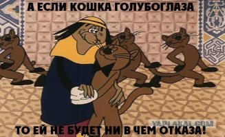 Кошачьи - Барс