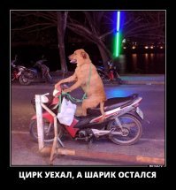 Подборка автомобильных приколов