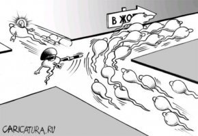 Факты о разном