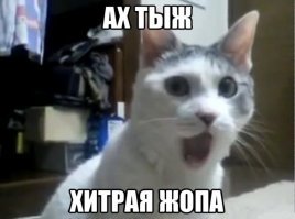 Мошенница тратила пособия на путешествия, но её выдали соцсети