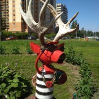 А мож кто знает, где лось в питере?