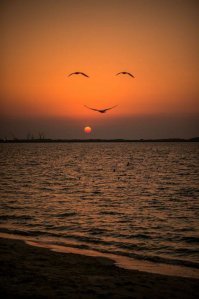 Эта веселее будет фотка)