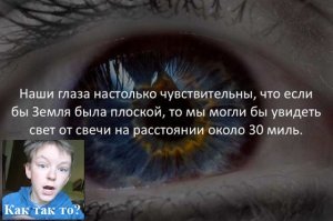 Факты о разном