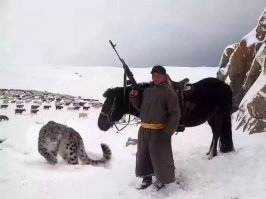 знаю что постанова, но этот монгол реально крут здесь)))