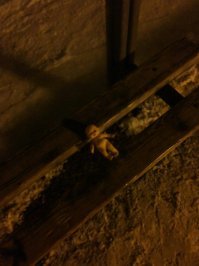 Вот это моя бывшая возле работы сняла