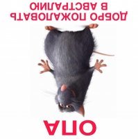 Любовь повсюду: жители Китая увидели в небе поцелуй облаков