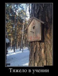 Картонный мир победил: Необычные штуки, которые можно сделать из картонной коробки