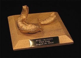 Пейзаж по заказу: в России изобрели видеоокна для общественного транспорта