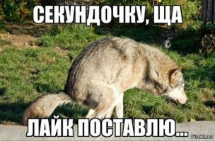 Новый iPhone: в сети появились фото сентябрьской новинки