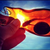 Это яйцо акулы)