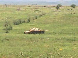 Таки Израиль (Голанские высоты) 2016 год....