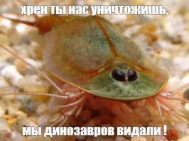 Жителей Ставрополья напугали необычные существа в озере