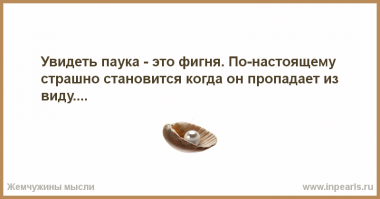 22 доказательства, что от пауков не скрыться