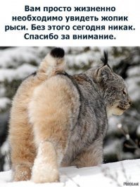 подражатели.