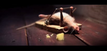 Никогда не сдавайся!