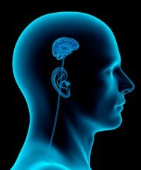 В Калининграде подростки вскрыли фаст-фуд на колесах, но тут же были пойманы