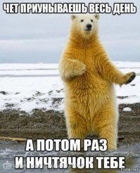 Мучительной смертью для коллектор закончился их выезд к пенсионерке