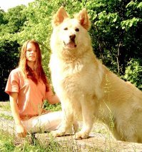 Верные друзья