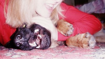 Верные друзья