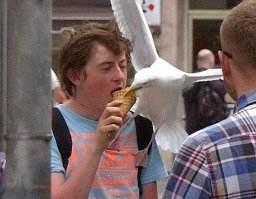 Кто-то остался голодным: дерзкая кража у Макдака