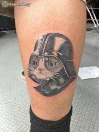 Фотоподборка за 02.08.2018