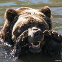 Жесткое наказание неверной девушки