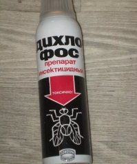 22 доказательства, что от пауков не скрыться