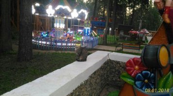 Смешные картинки с подписями