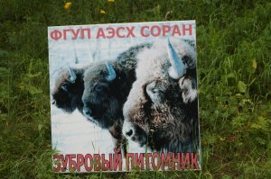 Горный Алтай