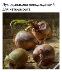 Если отложить идеологическую составляющую, то по сути здесь выложены постановочные работы.Вот вы говорите натюрморт, но не все изображения понравились. Зачастую просто накиданы хаотично. Вот посмотрите, если вы заметили: