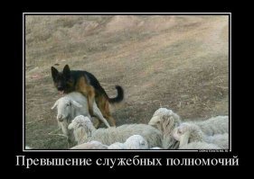 Ну, если бы хозяин этой собаке не указывал свистом что делать, могло бы быть и так.