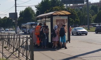 Сегодня заметил, что люди не уступают по интеллекту животным и птицам.