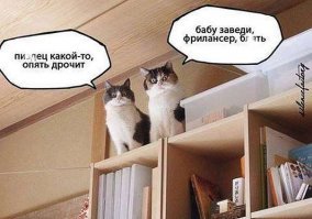 Японцы создали голографическую девушку-помощника, которая спасёт вас от одиночества
